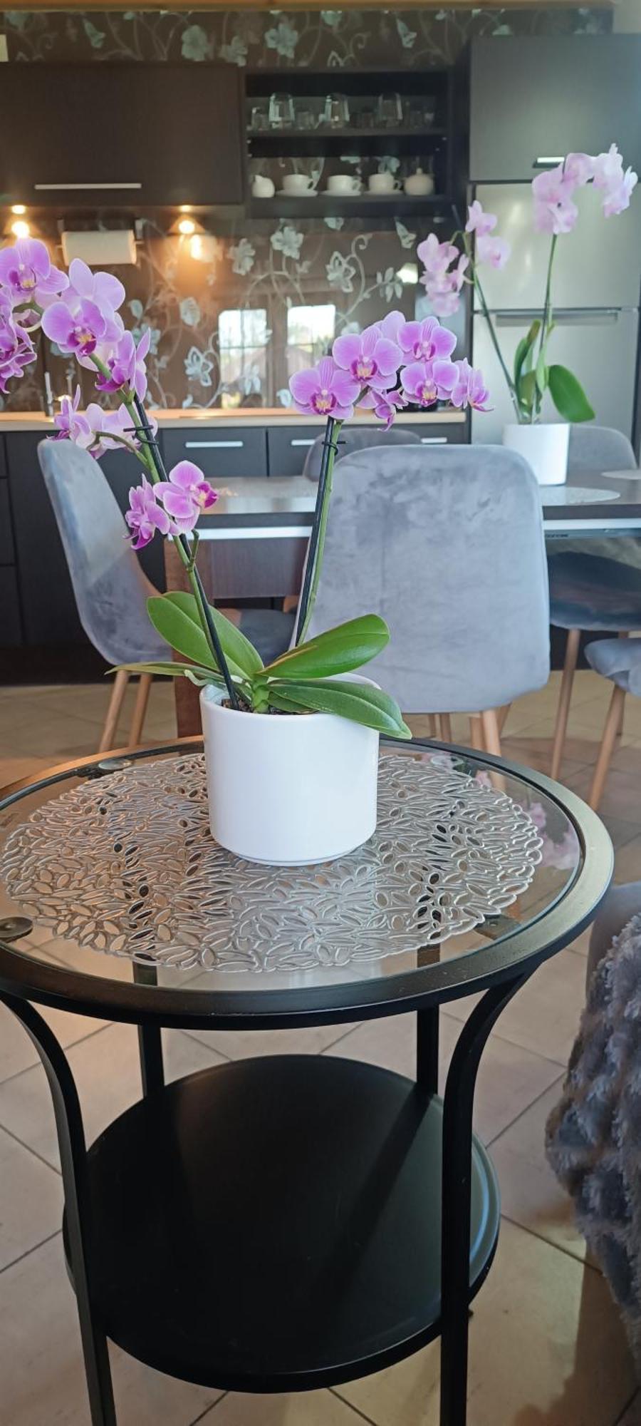 Diament Rogowo Villa Rogowo  Ngoại thất bức ảnh