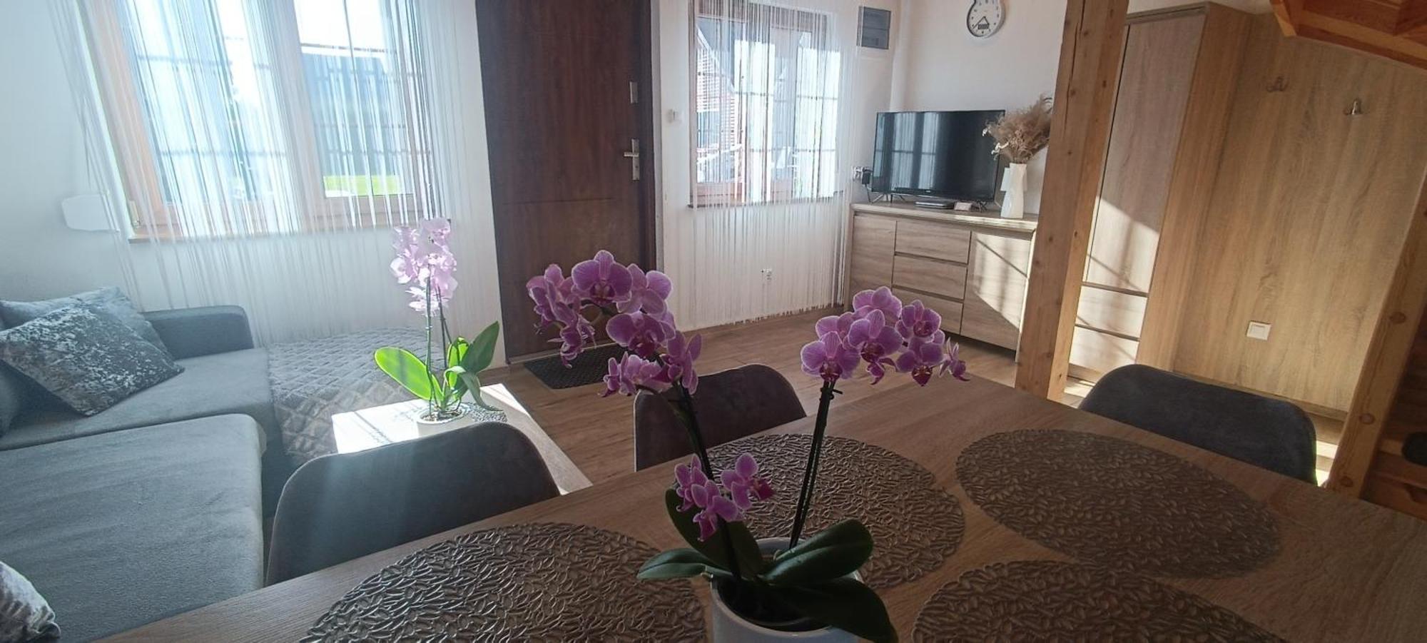 Diament Rogowo Villa Rogowo  Ngoại thất bức ảnh